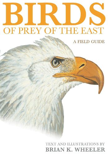 Cover image for Birds of Prey of the East: A Field Guide