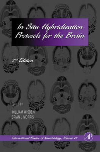 Cover image for In Situ Hybridization Protocols for the Brain