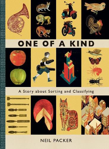 Cover image for One of a Kind: A Story About Sorting and Classifying