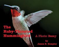 Cover image for The Ruby-throated Hummingbird: A photo essay