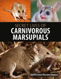 Cover image for Secret Lives of Carnivorous Marsupials