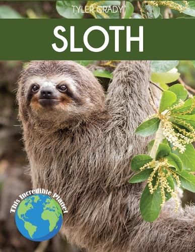 Cover image for Sloth