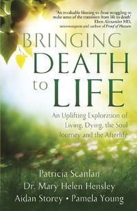 Cover image for Bringing Death to Life: An Uplifting Exploration of Living, Dying, the Soul Journey and the Afterlife