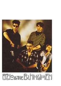 Cover image for Echo & the Bunnymen