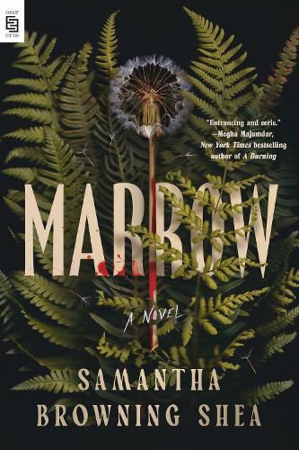 Cover image for Marrow