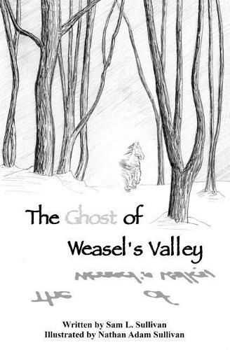 Cover image for The Ghost of Weasel's Valley