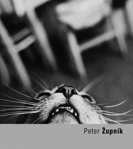 Cover image for Peter Zupnik