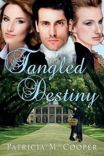 Cover image for Tangled Destiny