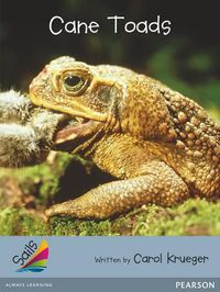 Cover image for Sails Advanced Fluency Silver: Cane Toads