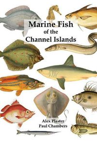 Cover image for Marine Fish of the Channel Islands