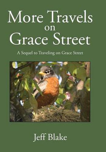 Cover image for More Travels on Grace Street: A Sequel to Traveling on Grace Street