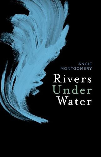 Cover image for Rivers Under Water