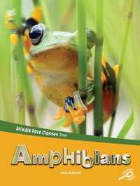 Cover image for Animals Have Classes Too! Amphibians