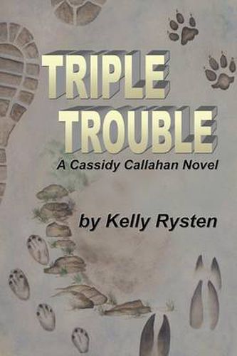 Cover image for Triple Trouble: A Cassidy Callahan Novel