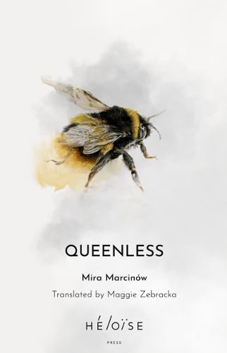 Cover image for QUEENLESS