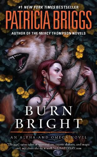 Cover image for Burn Bright