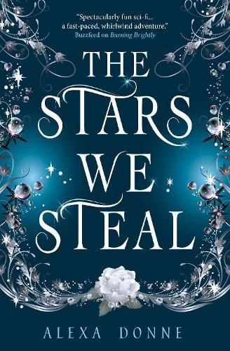 Cover image for The Stars We Steal