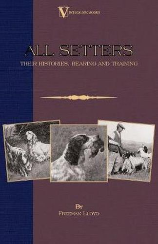 Cover image for All Setters