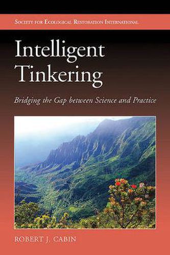 Cover image for Intelligent Tinkering: Bridging the Gap Between Science and Practice