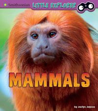 Cover image for Mammals: a 4D Book (Little Zoologist)