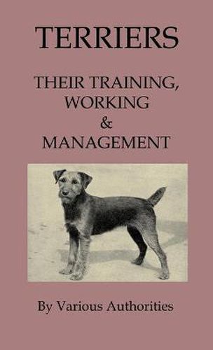 Cover image for Terriers - Their Training, Work & Management