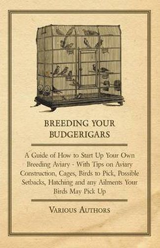 Cover image for Breeding Your Budgerigars - A Guide of How to Start Up Your Own Breeding Aviary - With Tips on Aviary Construction, Cages, Birds to Pick, Possible Setbacks, Hatching and Any Ailments Your Birds May Pick Up