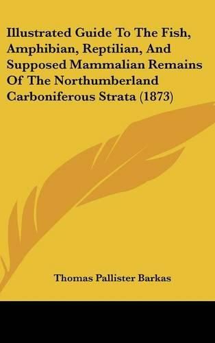 Cover image for Illustrated Guide To The Fish, Amphibian, Reptilian, And Supposed Mammalian Remains Of The Northumberland Carboniferous Strata (1873)