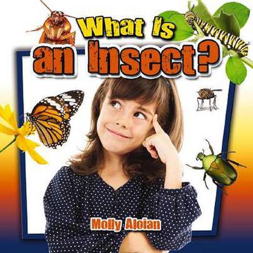 Cover image for What is an insect?