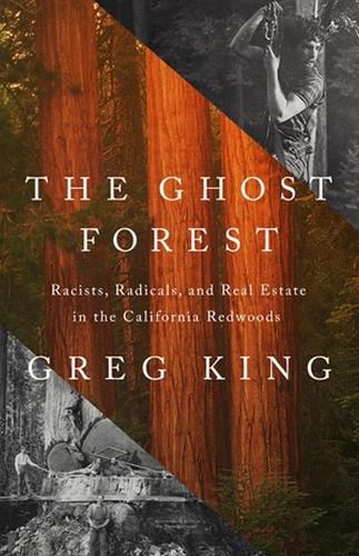 Cover image for The Ghost Forest