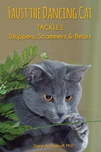 Cover image for Faust the Dancing Cat Tackles Strippers, Scammers & Bears