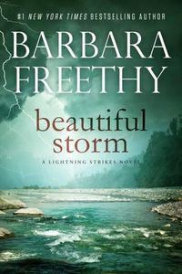 Cover image for Beautiful Storm