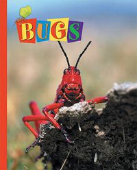 Cover image for Bugs