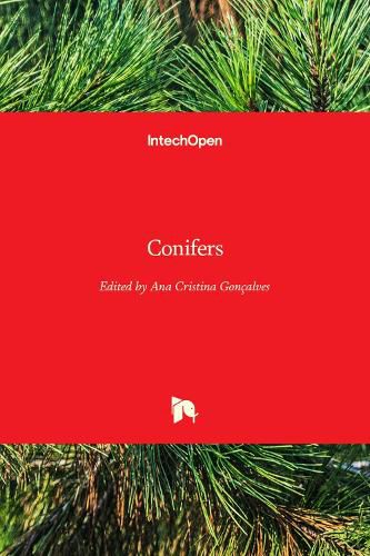 Cover image for Conifers