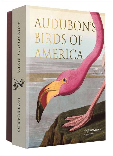 Cover image for Audubon's Birds of America - Notecard Set