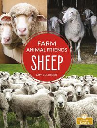 Cover image for Sheep