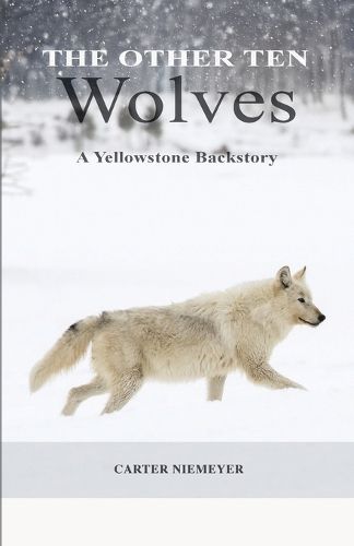 Cover image for The Other Ten Wolves