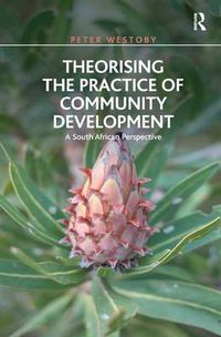 Cover image for Theorising the Practice of Community Development: A South African Perspective