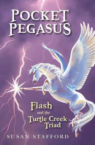 Cover image for Pocket Pegasus