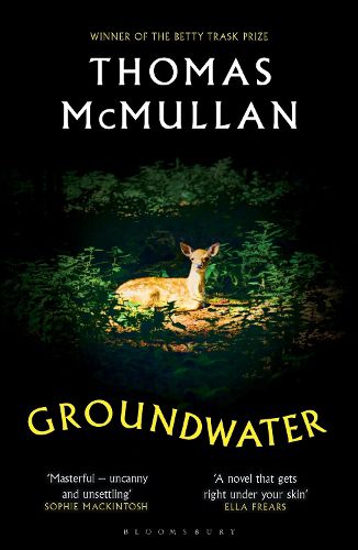 Cover image for Groundwater