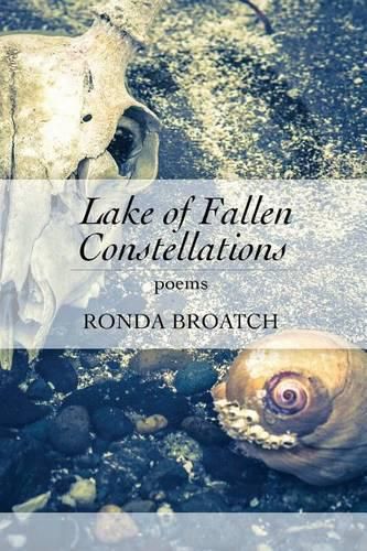 Cover image for Lake of Fallen Constellations