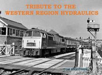 Cover image for Tribute to the Western Region Hydraulics