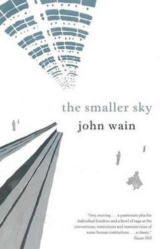 Cover image for The Smaller Sky