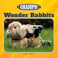 Cover image for Wonder Rabbits