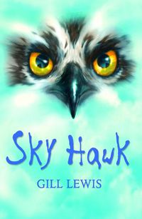 Cover image for Rollercoasters: Sky Hawk