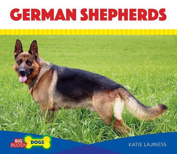 Cover image for German Shepherds