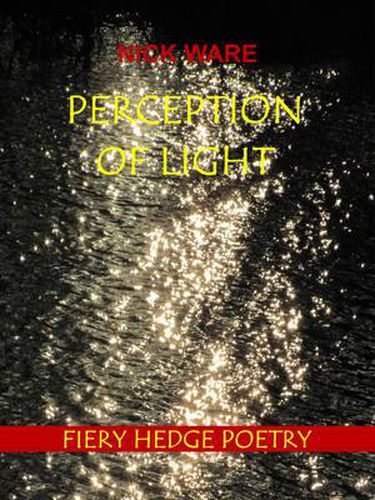 Cover image for Perception of Light