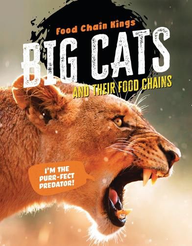 Cover image for Big Cats