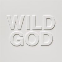 Cover image for Wild God (Vinyl)
