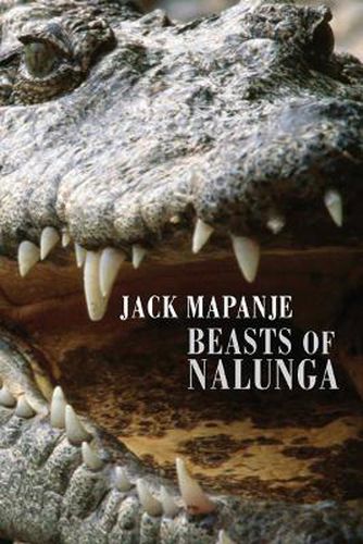 Cover image for Beasts of Nalunga