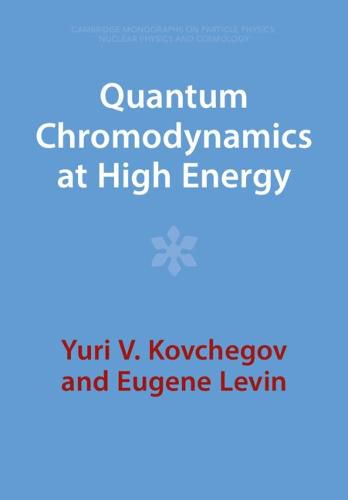 Cover image for Quantum Chromodynamics at High Energy